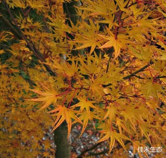 298_副本.jpg